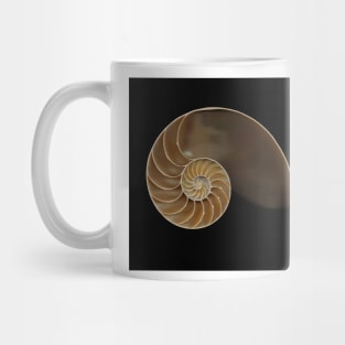 Chambered nautilus shell bisected Mug